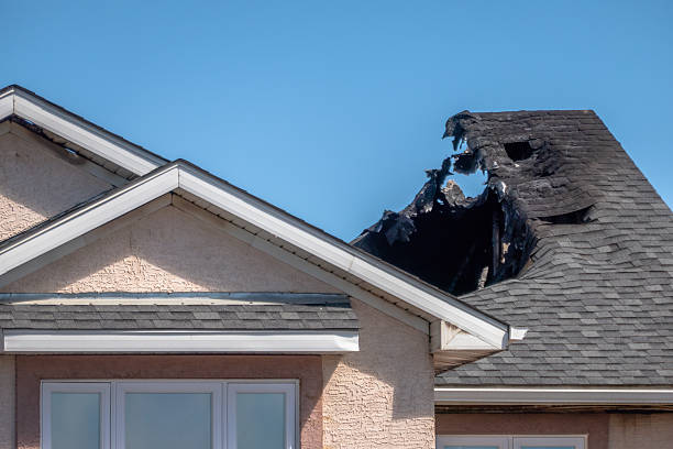 Top rated local Odor Removal specialists in Woodville, FL